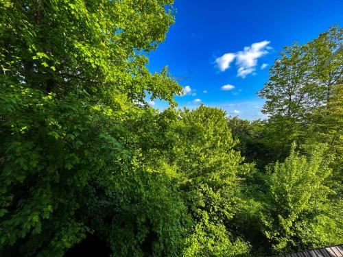 a group of trees with a blue sky in the background at Qafqaz Milano Deluxe in Gabala