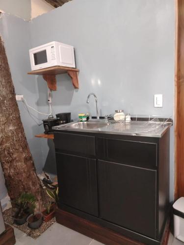 a kitchen with a sink and a microwave at Torito's room in Carrillo