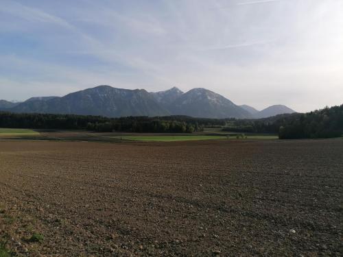 Gallery image of Bauernhof-Pension Puschnikhof in Unternarrach