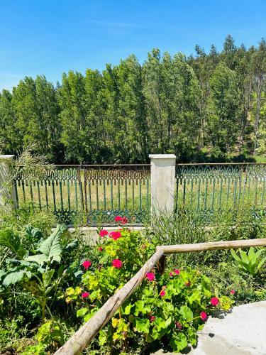 Κήπος έξω από το Mãe Home Carril