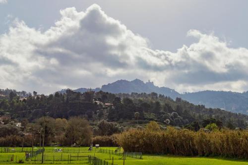 Tranquility By Sintra, By Home Match
