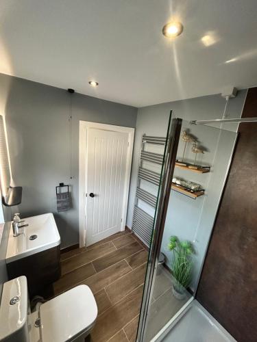y baño con ducha, aseo y lavamanos. en Eddies Lodge & Spa 3 bedroom cottage, en Dungiven