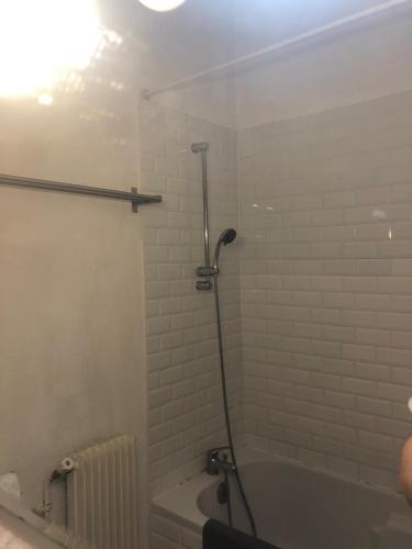 une salle de bain avec douche et baignoire dans l'établissement Appartement parisien, à Paris