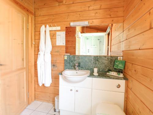 La salle de bains est pourvue d'un lavabo et d'un miroir. dans l'établissement Woodpecker Lodge, 