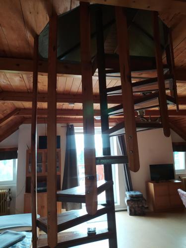 a bunk bed with a ladder in a room at Apartmán u lesa u Adršpachu in Jívka