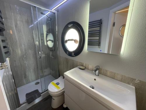 a bathroom with a sink and a toilet and a mirror at Hausboot Fjord Baltica mit Dachterrasse in Barth in Barth