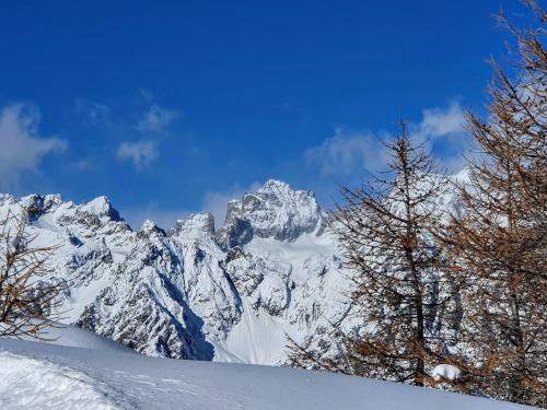 une montagne enneigée avec des arbres au premier plan dans l'établissement Escapadelia - Locations pour les sportifs et amoureux de la nature, à Pelvoux