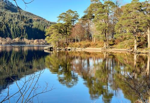 a view of a lake with trees in the background at Loch View Lodge in Dunoon
