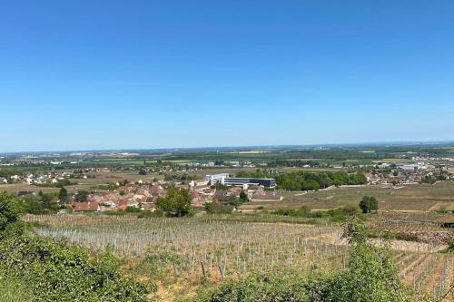 - une vue sur une ville depuis une colline plantée de vignes dans l'établissement La Belle Marguerite, appartement privé dans maison, à Brochon