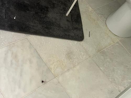 a bathroom floor with a spider on the floor at Harbor Riverside Property 1 in Fort Washington