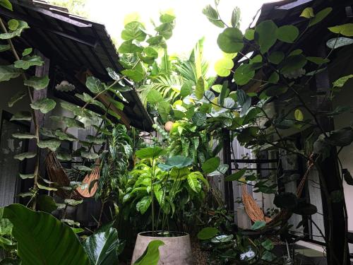 a greenhouse filled with lots of green plants at Su Kho Rom always home ศุโขรมย์ - Adults Only in Chiang Mai