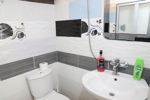 Bilik mandi di Elvi Aerd Apartment Berat
