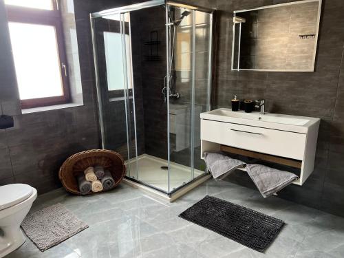 a bathroom with a shower and a sink and a toilet at Rezidence Bratrská in Ostrava