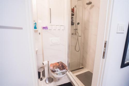 bagno con doccia e servizi igienici. di Zagreb Sunshine Ground Floor Apartment a Zagabria