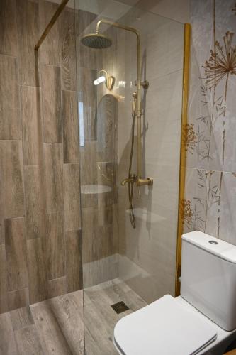 a bathroom with a shower with a toilet in it at Vivis Hub in Argostoli
