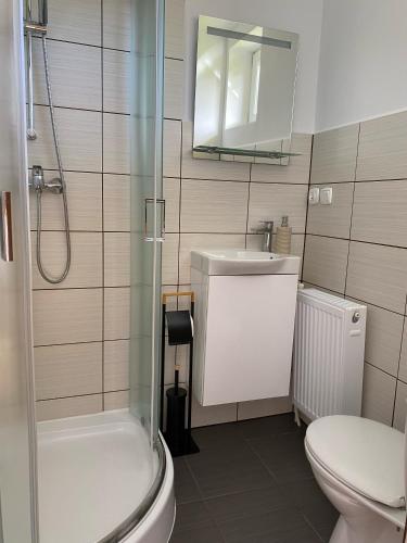 a bathroom with a toilet and a sink and a shower at Dom Gościnny Sierosław in Kołczewo