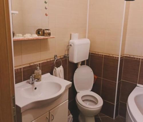 LazarevacにあるTwinsの小さなバスルーム(トイレ、シンク付)