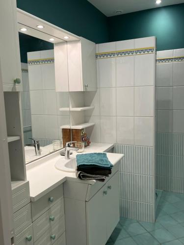 une salle de bain avec un lavabo et un miroir dans l'établissement Chez Gilles et Anne, à Onzain
