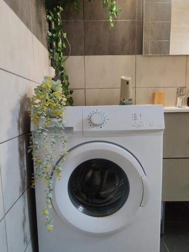 Gallery image of La jungle urbaine avec garage privé & climatisation in Perpignan