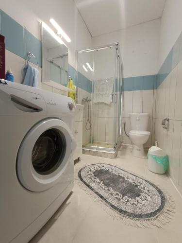a bathroom with a washing machine and a toilet at Irene's home in Igoumenitsa