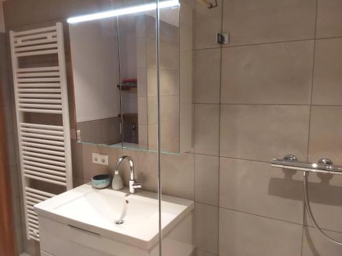 a bathroom with a sink and a shower with a mirror at Alpenblick in Nordschwaben