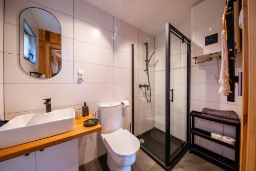 a bathroom with a toilet and a sink and a shower at Domek Trohaniec in Lutowiska