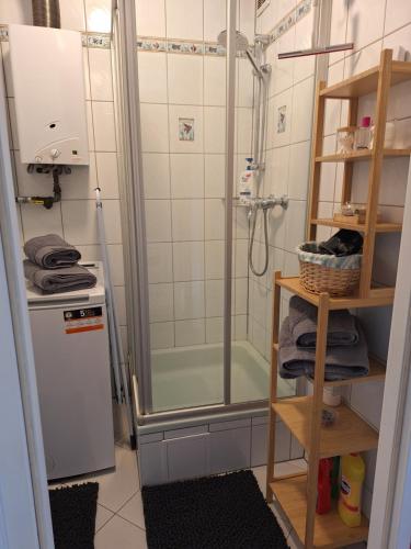 a small bathroom with a shower and a refrigerator at Róża Południa in Głuchołazy