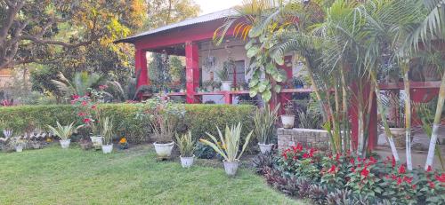 um jardim com vasos de plantas em frente a um edifício em Atmaja The Cottage Garden Home Stay Malda Under Tourism Department Government of West Bengal em Māldah