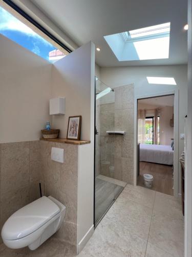 un bagno con wc e doccia in vetro di La parenthèse a Aubérives-sur-Varèze