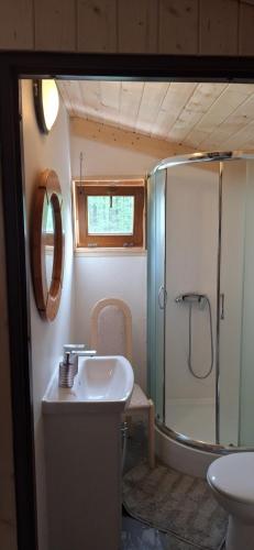W łazience znajduje się prysznic, umywalka i toaleta. w obiekcie Agroturystyka Perła Gaju w mieście Wojciechów