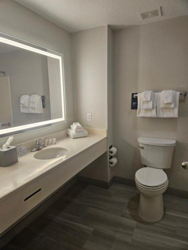 a bathroom with a toilet and a sink and a mirror at Holiday Inn Express & Suites Clermont SE - West Orlando, an IHG Hotel in Orlando