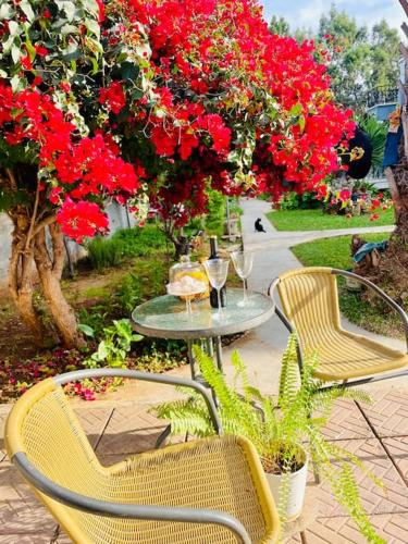 a table and chairs with red flowers on a patio at Green Garden Guest House in Mağusa