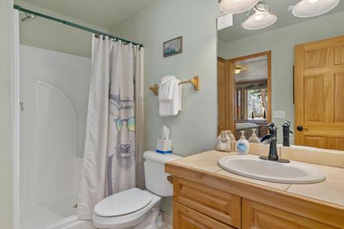 a bathroom with a toilet and a sink and a shower at Creekside Suites 22 by Estes Park Condos in Estes Park