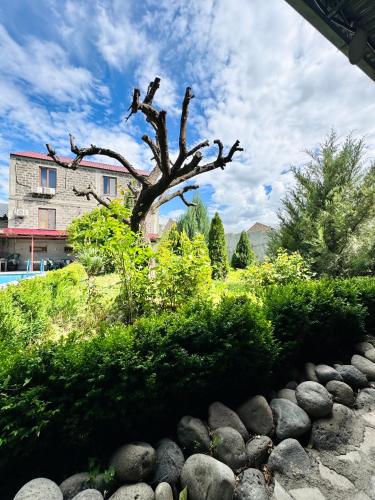 a tree sitting on top of a pile of rocks at Garden EVN Airport in Pʼarakʼar