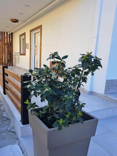 ITHACA Σπίτι με αυτόνομη είσοδο