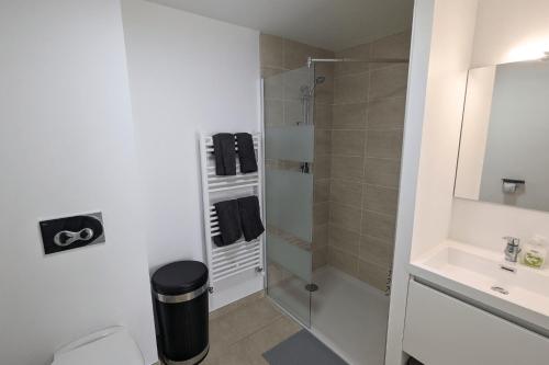 uma casa de banho com um chuveiro e um WC. em Appartement LO du Lac - Paladru em Paladru