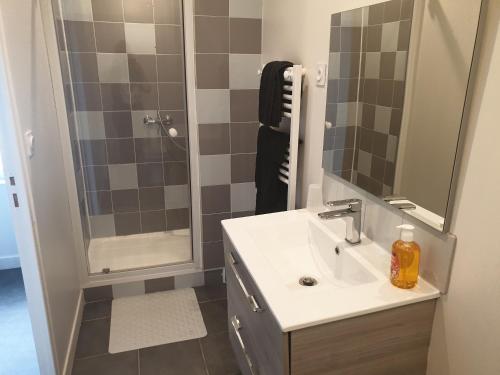bagno con lavandino e doccia con specchio di Gardenia a Villenauxe-la-Grande