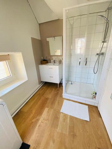 une salle de bain avec douche et lavabo dans l'établissement Au cœur de Blois, à Blois