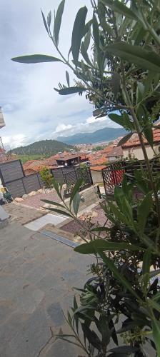 Gallery image of calm stone house elemm in Kastoria