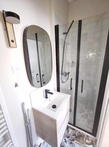 une salle de bain avec un lavabo et une douche avec un miroir dans l'établissement Le Petit Robert - Centre - Calme, à Toulouse