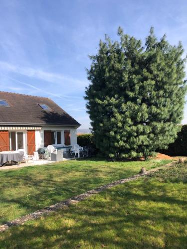 un arbre dans une cour à côté d'une maison dans l'établissement Jolie maison champenoise, à Saâcy-sur-Marne