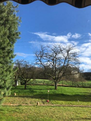 un champ herbeux avec des arbres et une clôture dans l'établissement Jolie maison champenoise, à Saâcy-sur-Marne