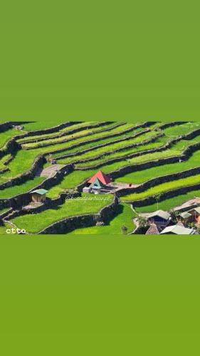 a view of a farm field with houses and buildings at Batad Pension PH in Banaue