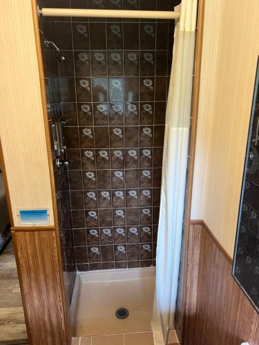 a bathroom with a shower with a glass door at Colton Point Motel in Gaines