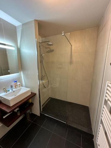 une salle de bain avec douche et lavabo dans l'établissement Appartement 50m2 - 1ère Ligne Vue Port de La Teste, à La Teste-de-Buch
