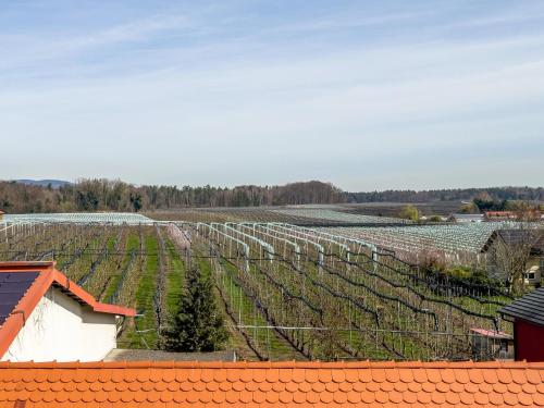 a view of a vineyard from the roof of a house at Obst- Ferienhof Ragg in Immenstaad am Bodensee