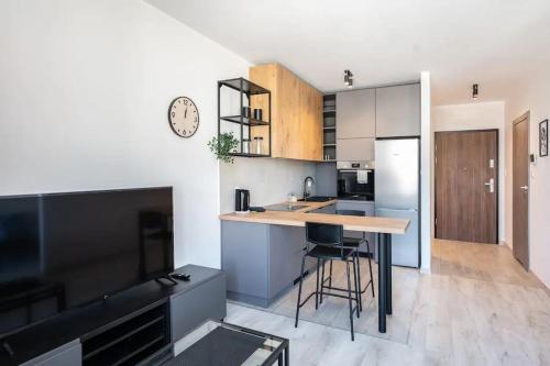 Close-Central Apartments Katowice - City Center - Cozy One Bedroom Apartment - O10