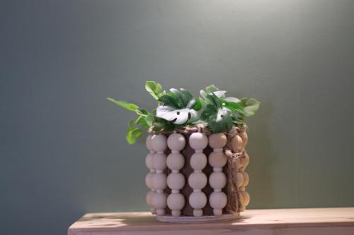 Imagen de la galería de Faidra, en Himare