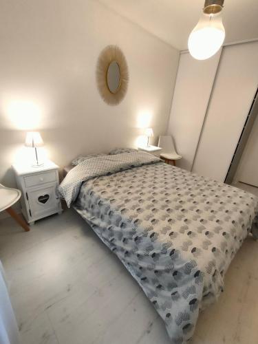 a bedroom with a bed and a mirror on the wall at Appartement 2 Pièces avec une grande terrasse, 3 étoiles, Wifi, Box pour véhicule et vélos in Les Sables-dʼOlonne