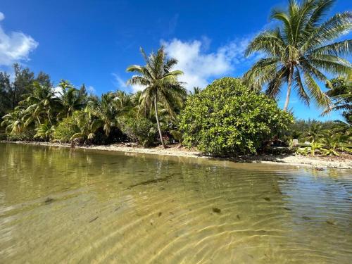 una spiaggia con palme e acqua di LM Houses 2 a Puahua